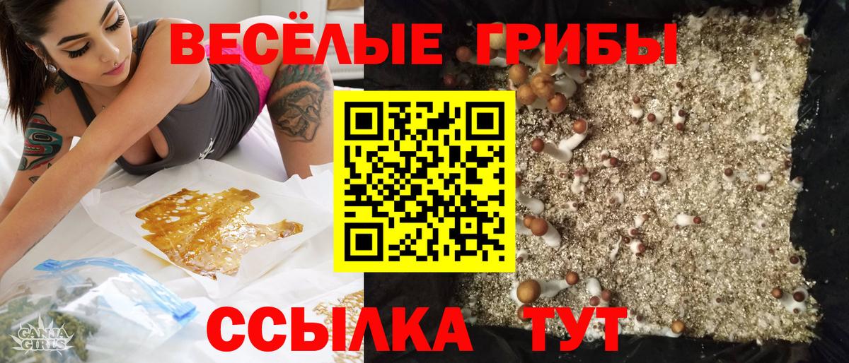 Галлюциногенные грибы прущие грибы Раменское