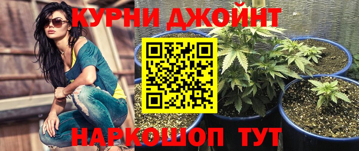 Шишки марихуана тримм  Вход с VPN  Раменское  Канабис конопля 